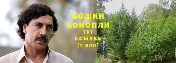 spice Арсеньев