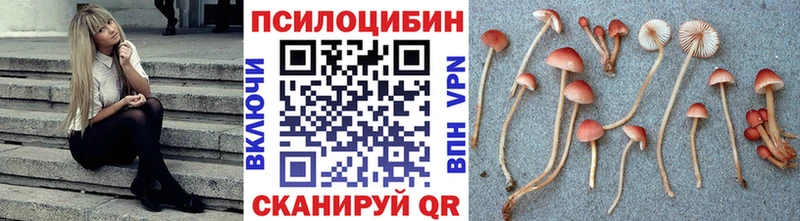 blacksprut как зайти  Артёмовск  Галлюциногенные грибы Psilocybine cubensis 